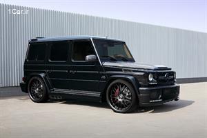 تمساح در هامان G65 AMG